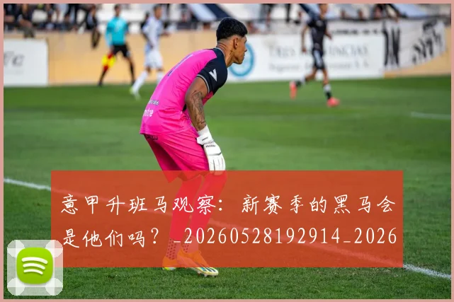 意甲升班马观察:新赛季的黑马会是他们吗?_20260528192914_20260704174805